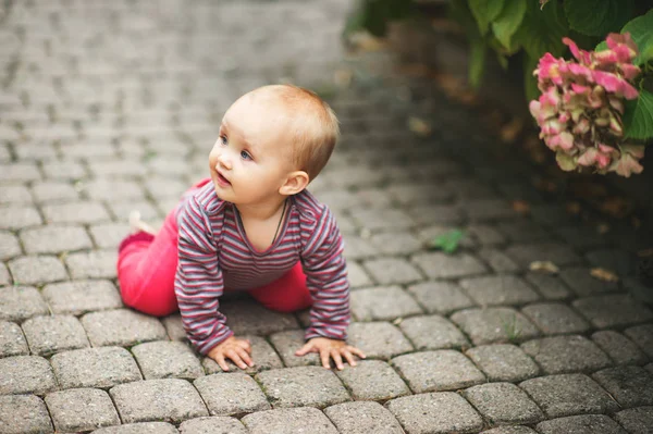 Очаровательная девочка 9-12 месяцев играет на улице в парке — стоковое фото