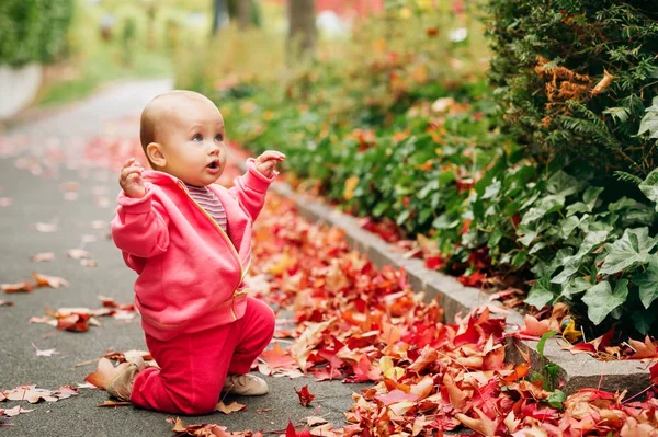 Очаровательная маленькая девочка 9-12 месяцев играет на свежем воздухе в прекрасный осенний день — стоковое фото