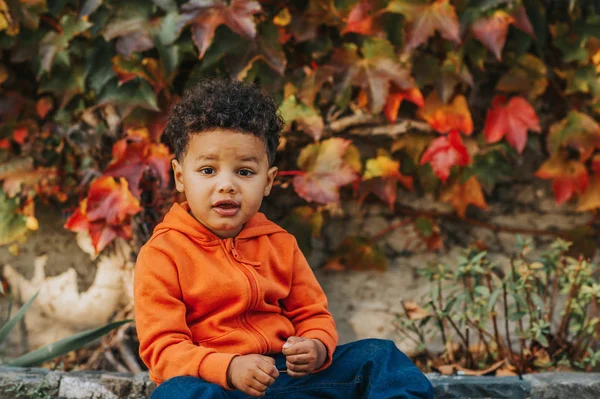 Retrato de adorável menino criança africana brincando ao ar livre em um belo dia de outono, vestindo jaqueta com capuz laranja brilhante — Fotografia de Stock