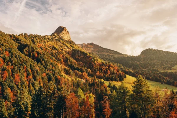 Dağlardaki sonbahar ormanı, Vaud, İsviçre kantonunda çekilmiş görüntüler. — Stok fotoğraf
