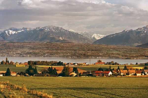 Weizenfelder Kanton Vaud Schweiz Blick Auf Den Genfer See Und — Stockfoto