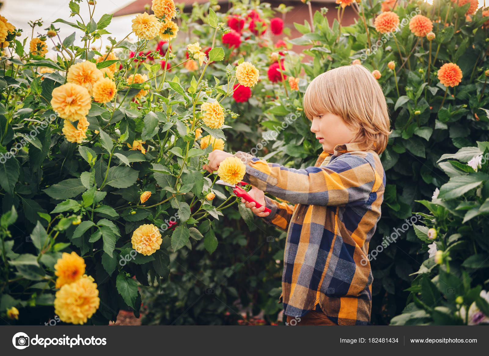 Cute Little Boy Working Autumn Garden Child Taking Care Colorful