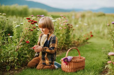 Renkli krizantem bahçıvan çocuk dışarıda sıcak ve güneşli gün zevk dikkat çekici çocuk sonbahar bahçede çalışan şirin küçük çocuk