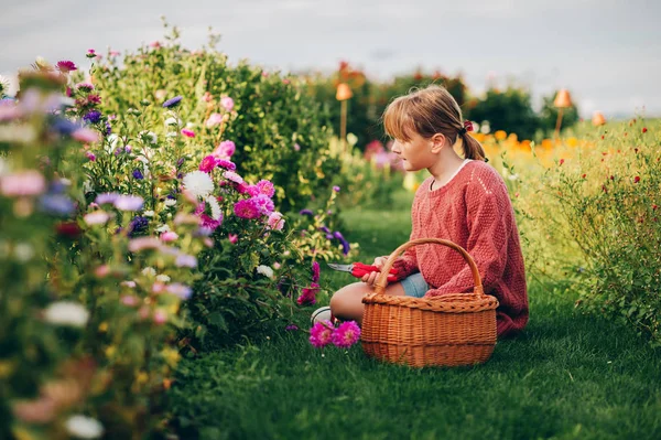 Sevimli Küçük Kız Renkli Krizantem Bahçıvan Genç Sıcak Güneşli Gün — Stok fotoğraf