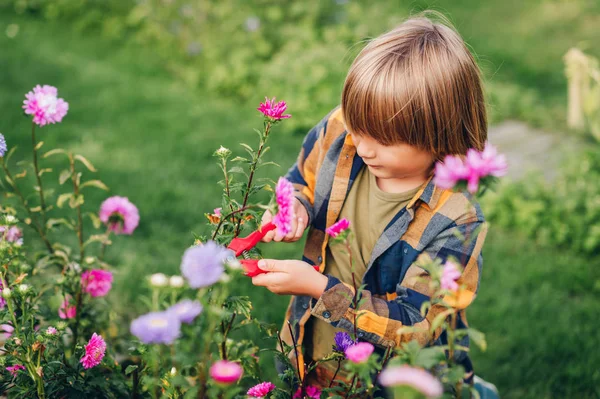 可爱的小男孩在秋季花园工作 孩子照顾丰富多彩的菊花 园丁孩子享受温暖和阳光灿烂的一天 — 图库照片