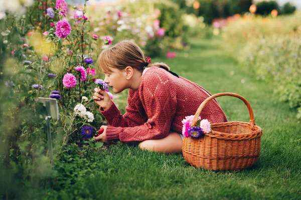 Досить Маленька Дівчинка Працює Осінньому Саду Дитина Піклується Про Барвисту — стокове фото