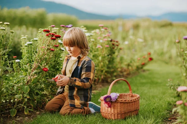 カラフルな菊の暖かく 晴れた日の外を楽しんで庭師子供の世話の子供秋の庭で働いているかわいい男の子 — ストック写真