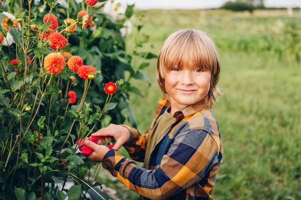 Schattige Kleine Jongen Kind Verzorgen Van Kleurrijke Chrysanten Dahlia Bloemen — Stockfoto
