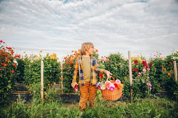 Schattige Kleine Jongen Kind Verzorgen Van Kleurrijke Chrysanten Dahlia Bloemen — Stockfoto