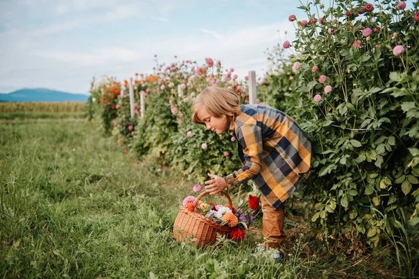 Söt Liten Pojke Arbetar Höst Trädgård Barn Att Hand Färgglada — Stockfoto
