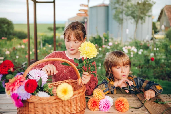 Due Bambini Divertenti Che Fanno Mazzo Fiori Crisantemo Dalia — Foto Stock