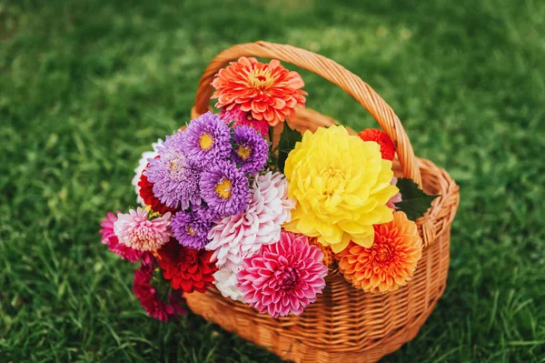 Kurv Fuld Farverige Efterår Blomster Grøn Baggrund - Stock-foto