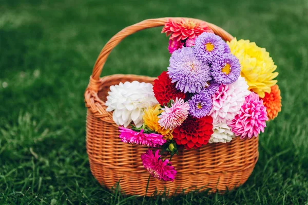 Korg Full Färgglada Höst Blommor Grön Bakgrund — Stockfoto