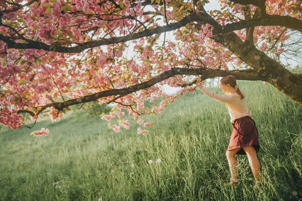 Vår Bild Blommande Sakura Kid Flicka Som Leker Med Dekorativa — Stockfoto