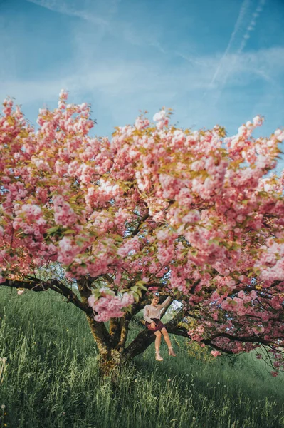 Frühlingsbild Der Blühenden Sakura Mädchen Spielt Mit Dekorativem Kirschbaum Glückliche — Stockfoto