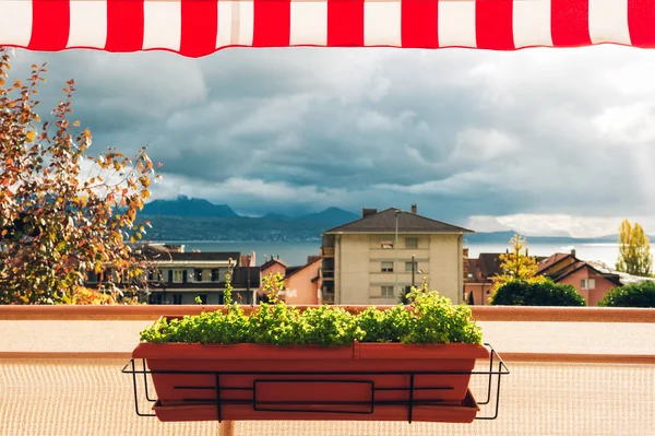 Heller Und Gemütlicher Balkon Mit Vielen Topfpflanzen — Stockfoto