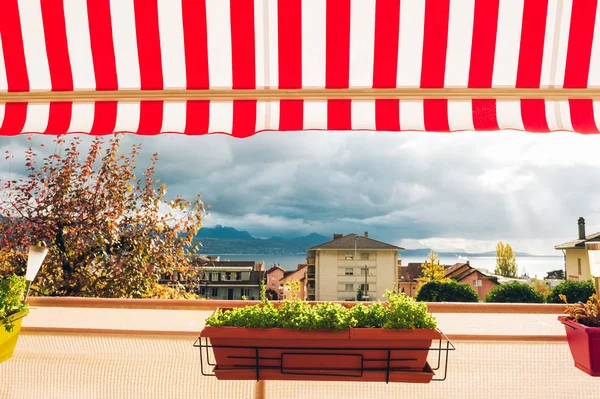 Heller Und Gemütlicher Balkon Mit Vielen Topfpflanzen — Stockfoto