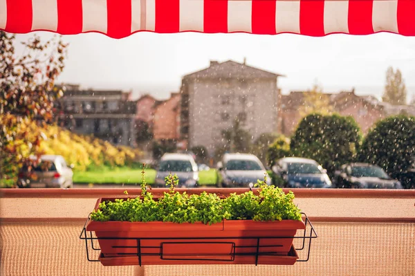 Heller Und Gemütlicher Balkon Mit Topfpflanzen Draußen Regnet — Stockfoto