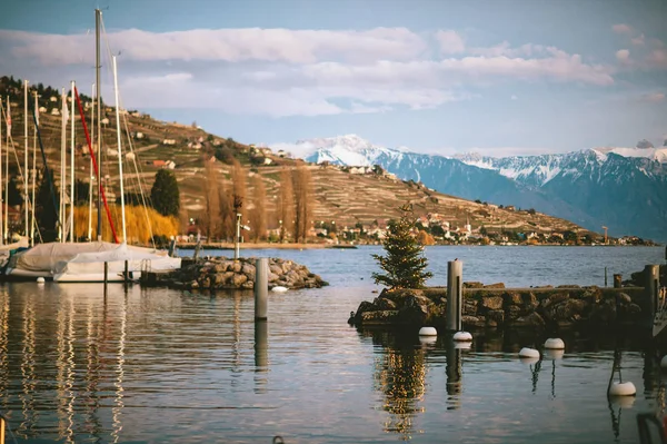 Téli Táj Karácsonyfával Egy Kis Kikötő Genfi — Stock Fotó