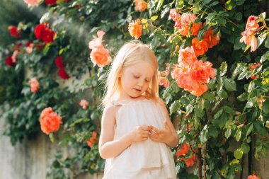 Açık hava yaz portresi. 5 yaşında küçük bir kız çocuğu. Yaz bahçesinde güllerle oynuyor.