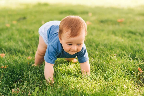 Schattig Roodharig Jongetje Kruipend Fris Groen Gras Zomerpark — Stockfoto