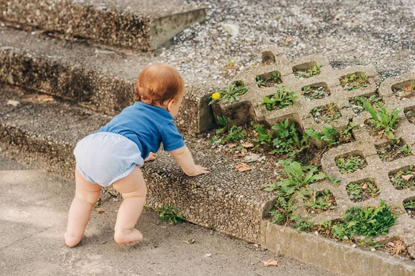 Очаровательный Мальчик Поднимается Лестнице Парке Вид Сзади — стоковое фото