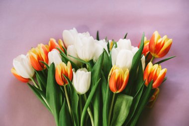 Red, yellow and white tulips lying on pink background, top view