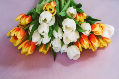 Red, yellow and white tulips lying on pink background, top view