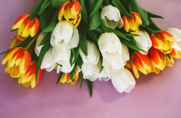 Červené Žluté Bílé Tulipány Ležící Růžovém Pozadí Horní Pohled — Stock fotografie