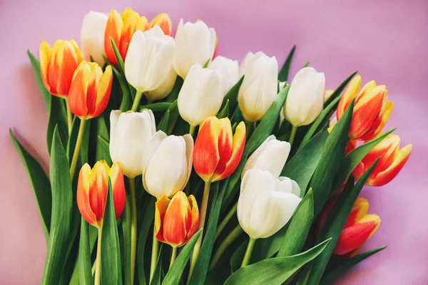 Červené Žluté Bílé Tulipány Ležící Růžovém Pozadí Horní Pohled — Stock fotografie