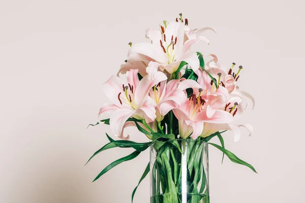 Close Afbeelding Van Mooie Witte Roze Lelie Bloemen — Stockfoto