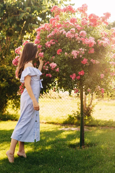 在花园里闻到鲜红玫瑰香味的年轻漂亮女子的户外夏季画像 后视镜 — 图库照片