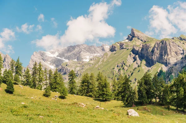 Latar Belakang Alam Dengan Indah Musim Panas Lembah Alpine — Stok Foto