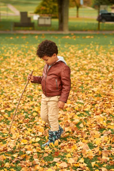 Ritratto Autunnale All Aperto Carino Ragazzo Africano Con Indosso Una — Foto Stock