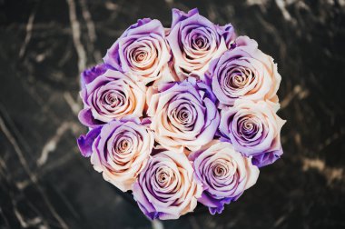 Close up image of double colored roses, beige and purple flowers in a box, top view clipart