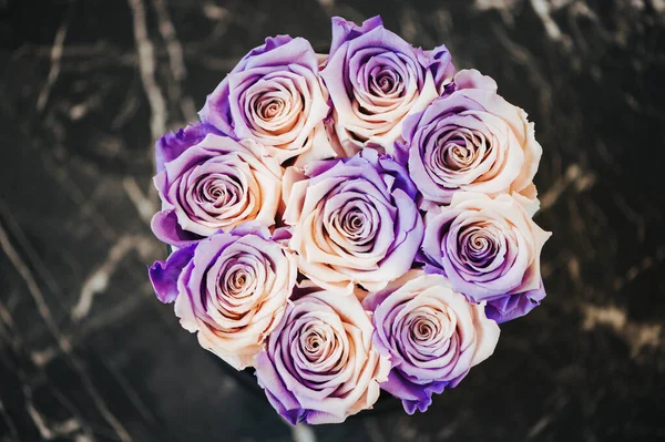 Close Imagem Rosas Cor Dupla Flores Bege Roxo Uma Caixa — Fotografia de Stock