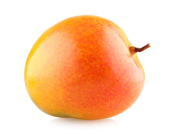Bir olgun mango — Stok fotoğraf