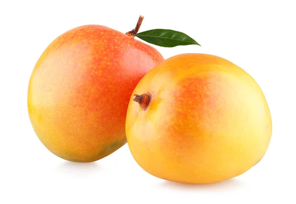 Two ripe mangoes — Stock Photo, Image