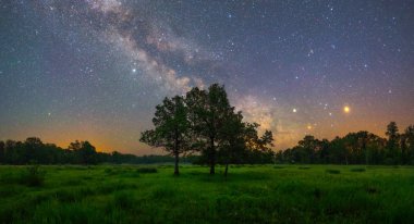 Oaks üzerinde gece gökyüzünde parlayan yıldız 