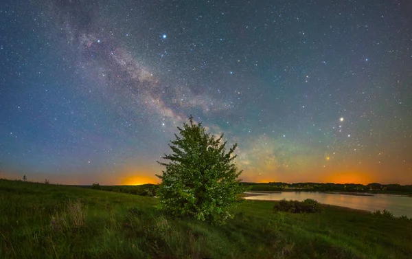 Γαλαξίας επάνω από το δέντρο, κοντά στη λίμνη — Φωτογραφία Αρχείου