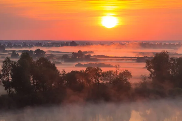 Ceață dimineață la lac la răsărit — Fotografie, imagine de stoc