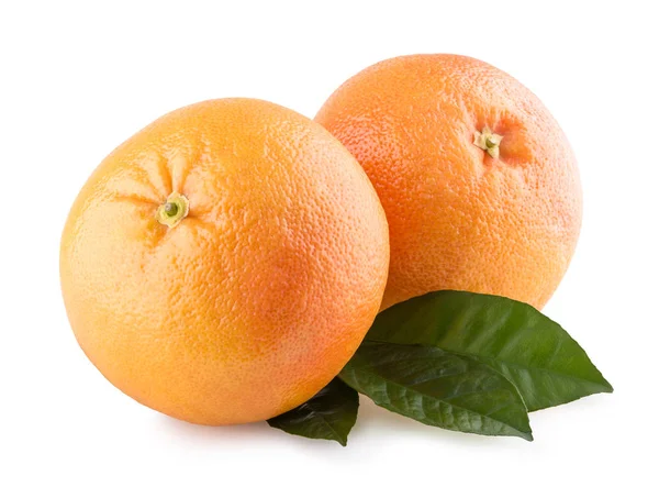 Verse rijpe grapefruits — Stockfoto