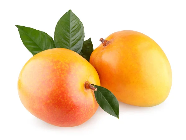 Mogen mango frukt — Stockfoto