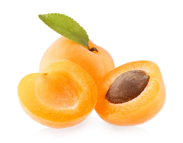 Abricots frais mûrs — Photo