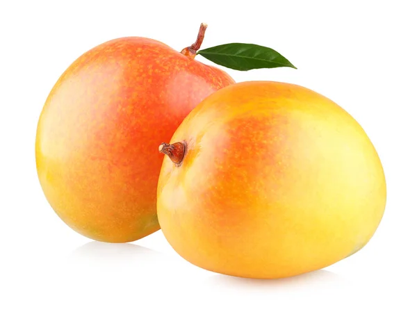 Два спелых манго — стоковое фото