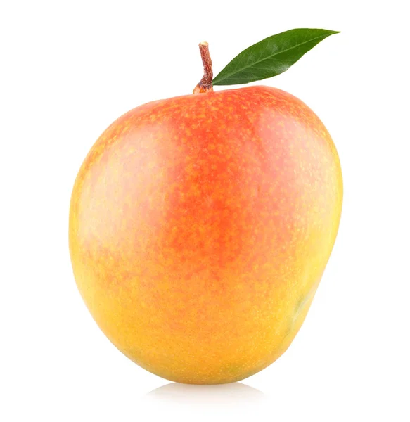Čerstvé zralé mango — Stock fotografie