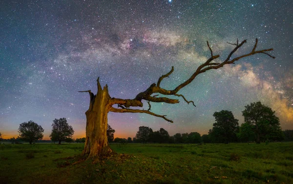 Starry night landscape — Stock Photo, Image