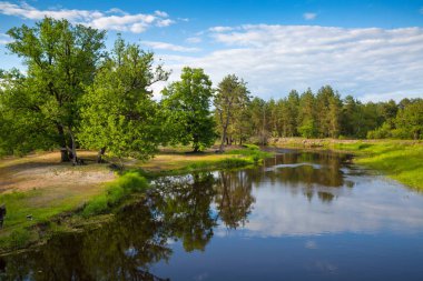 Belarus nehir Ubarc' (Ubort)