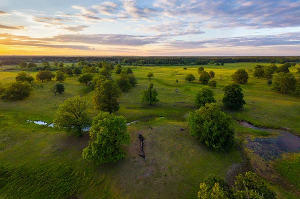 Floodplain Belarusian River Ubarc Ubort — Fotografia de Stock