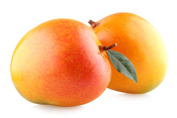 Rijpe mango's geïsoleerd — Stockfoto